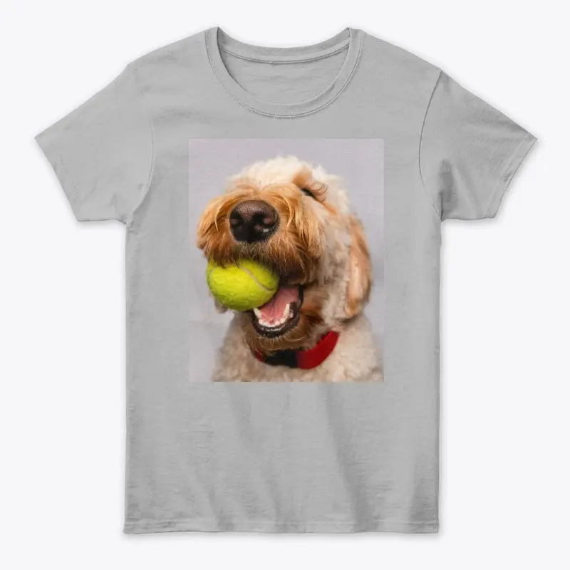 Dog with a Tennis