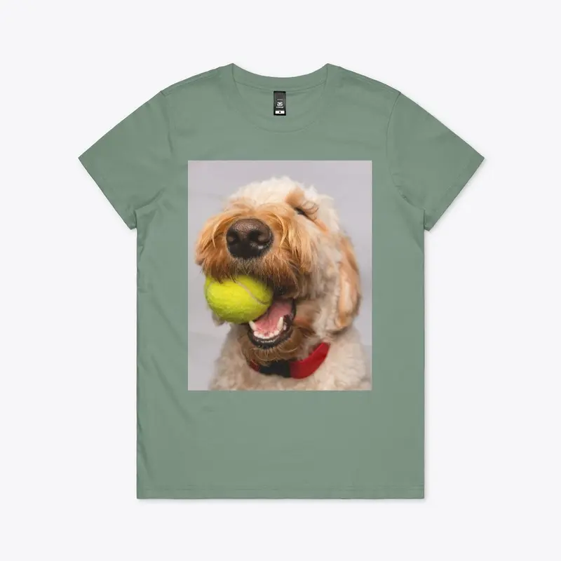 Dog with a Tennis